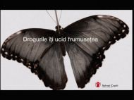 Young&Rubicam / Team Advertising a semnat 4 spoturi la Drogurile ucid