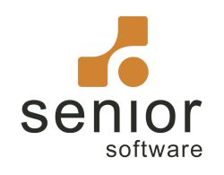 Senior Software face 600.000 EUR pe an din WEB si ERP