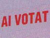 Felix Tataru (GMP) a votat cu PD-L, Radu Florescu (Saatchi&Saatchi) cu 2 candidati PNL, iar Sorin Predescu (ex The Group, Grey ), cu PSD+PC