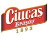 Ciucas (Ursus Breweries) continua cu Nicola Porter Novelli si New Media