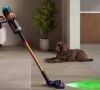 Proprietarii de animale de companie petrec mai mult timp făcând curățenie decât cei fără prieteni necuvântători, conform Dyson Wet Cleaning