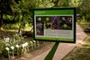 Primul spatiu verde cu banci solare si wifi gratuit, amenajat in Gradina Botanica din Bucuresti de catre Fundatia Telekom Romania