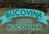 2,5 miliarde lei de la Bucovina pentru Bucovina