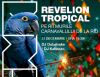 Revelion pe ritmurile Carnavalului de la Rio, la MINA BucureČti, pe 31 decembrie
