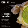 Muzeul Antipa deschide expoziția „Chipul bestiei. Perfecțiunea stă în detalii" - o incursiune spectaculoasă în lumea ascunsă a insectelor