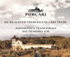 “NOI, NU! NICIODATA!”. Campanie manifest semnata de Propaganda pentru Purcari Wineries
