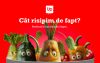 Aproape jumătate dintre români aruncă mâncare gătită. Up România în parteneriat cu Reveal Marketing Research