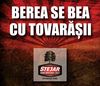 Tovarasi, Stejar cauta barbatul strong cu o campanie de 100.000 de euro