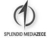 Ex-PR directorul ARBOmedia a plecat la Splendid MediaZece