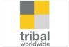 Tribal Worlwide Romania (The Group), premiata la trei categorii ale Webstock Awards, cu OLX Romania, McDonalds Romania si Apa Nova & Porter Novelli