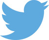 Twitter ar putea incheia anul cu 1 Miliard USD din publicitate.