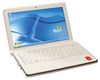 Vodafone vinde laptop-uri sub brand propriu, de la 99 EUR