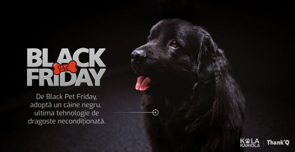 Black Pet Friday. Initiativa care invita la adoptia cainilor negri din adaposturi ca ultima tehnologie de dragoste neconditionata. Parteneriat DDB Romania cu Adapostul Kola Kariola.
