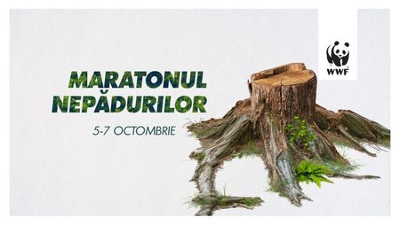 Din 5 octombrie ,,Maratonul NePadurilor”. Andrei Rosu alearga trei zile pentru salvarea padurilor Romaniei