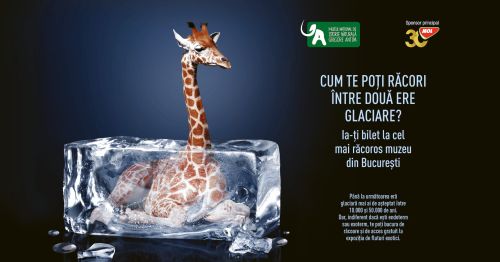 Oază de răcoare în mijlocul orașului: „La Antipa e cool. Chiar și pe caniculă!"