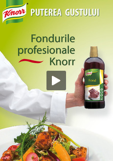 Brosura Fonduri Knorr