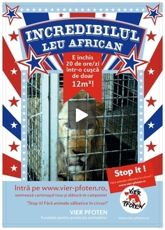 Stop it! Fara animale salbatice in circuri!