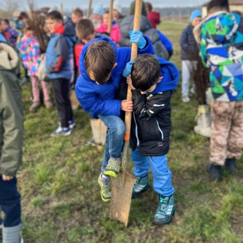 Peste 1.700 de elevi din România au reciclat 134 de tone de deșeuri si au plantat 75.000 de copaci, iar 60.000 de elevi au luat lecții de mediu in Eco Provocarea