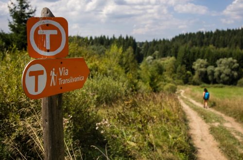 MedLife devine partener de sănătate și wellbeing în proiectul Via Transilvanica, „drumul care unește”