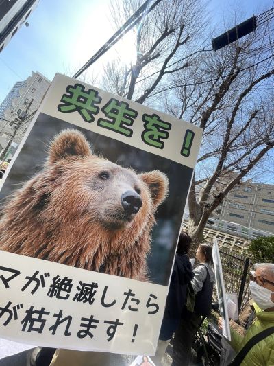 Protest în Japonia pentru protecția urșilor și a habitatelor naturale