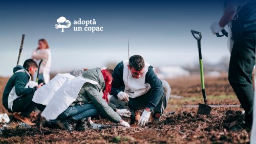 Adoptă un Copac in toamnă–iarnă 2025 a insumat 239.310 puieți plantați, 16.66 hectare de păduri noi si 39.000 de puieți la 130 de instituții de învățământ 
