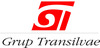 Grup Transilvae